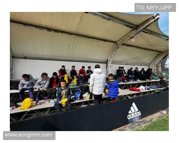 崇明岛足球基地助力青少年成长与足球文化传播新篇章